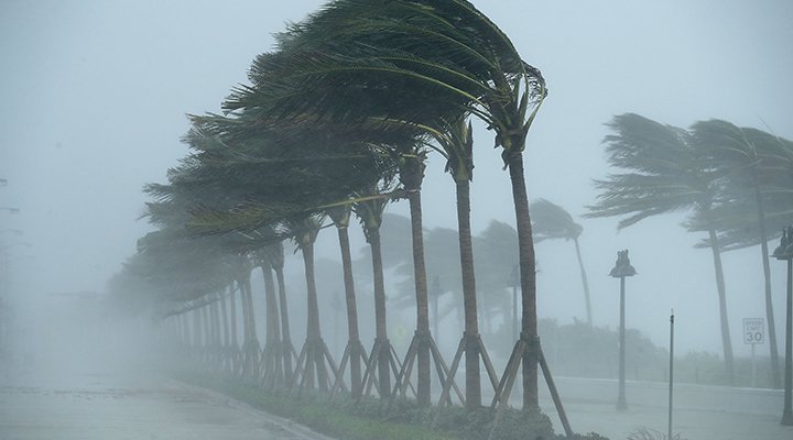 Reclamaciones por daños causados por el viento